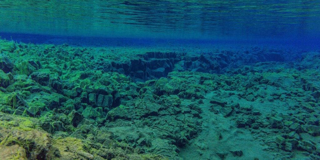 Diving in Iceland Between Tectonic Plates With YOLO Travel
