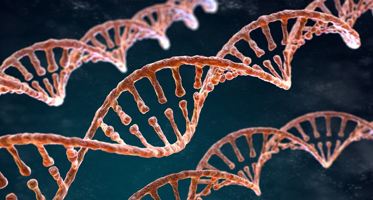 Spiral strands of DNA on the dark background. Spiral strands of DNA on the dark background.