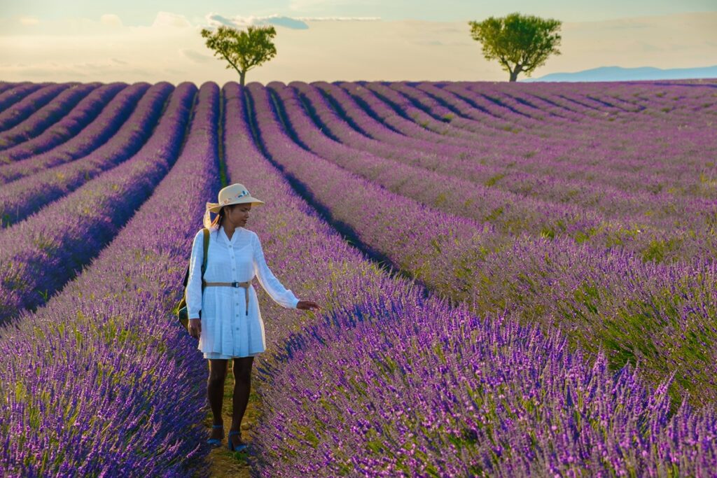 A woman wearing a white dress and hat walks gracefully among blooming lavender plants in a sunny field with Azur Xperiences. A woman wearing a white dress and hat walks gracefully among blooming lavender plants in a sunny field.