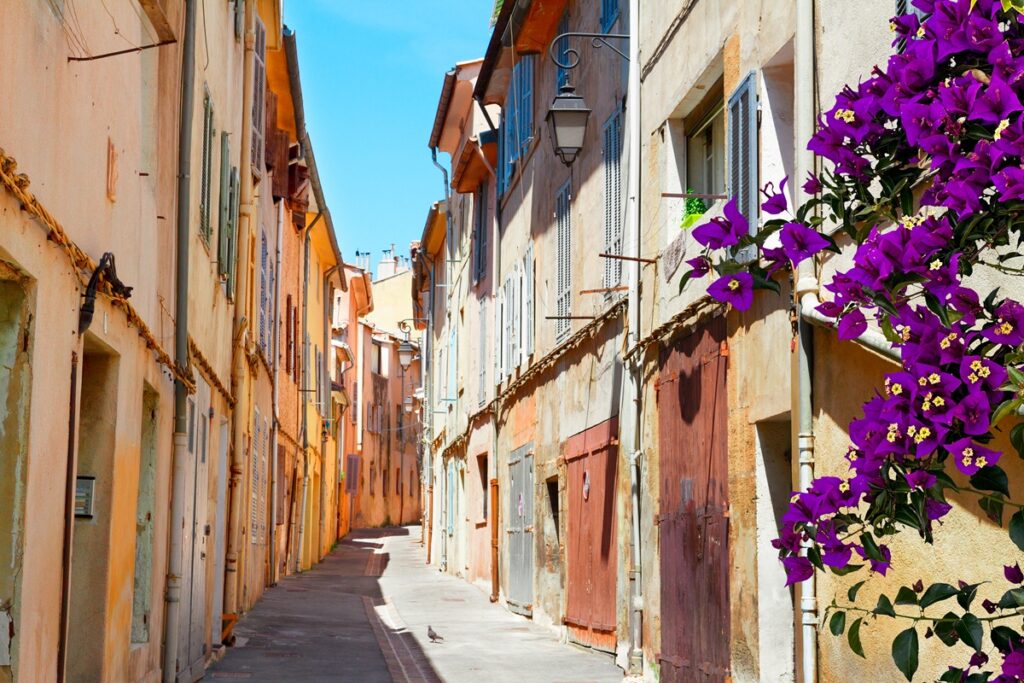 A street scene in Old Nice, featuring a vibrant purple flower growing alongside the pavement, perfect to explore as part of the top things to do in Nice. A street scene in Old Nice, featuring a vibrant purple flower growing alongside the pavement, perfect for a slow day in Nice on foot.