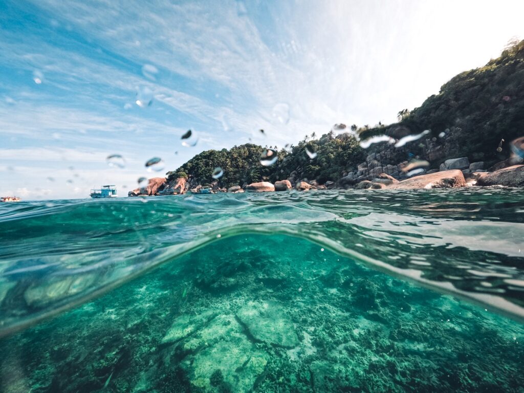 Vibrant coral reef beneath clear sea water, with a bright blue sky above, showcasing marine life and natural beauty in Villefranche's natural harbour. Vibrant coral reef beneath clear sea water, with a bright blue sky above, showcasing marine life and natural beauty in Villefranche's natural harbour